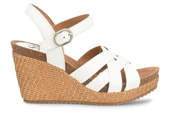 Women Sofft Office|Standard-Carlana