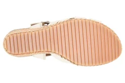 Women Sofft Standard|Office-Carlana