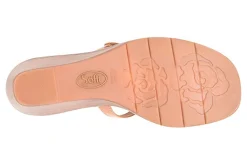 Women Sofft Standard|Office-Gaige