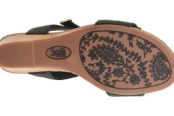 Women Sofft Standard|Wide-Verdi