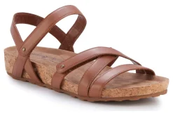 Women Walking Cradles Standard|Extra Wide-Pool