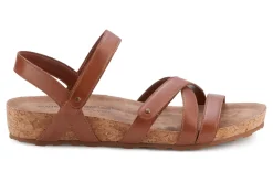 Women Walking Cradles Standard|Extra Wide-Pool