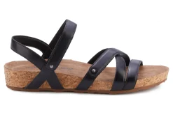 Women Walking Cradles Standard|Extra Wide-Pool